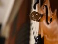 Vos cours de violon à Montpellier